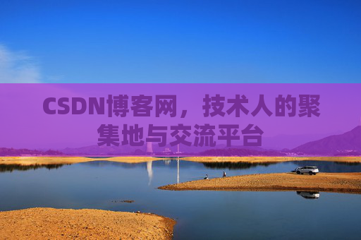 CSDN博客网，技术人的聚集地与交流平台